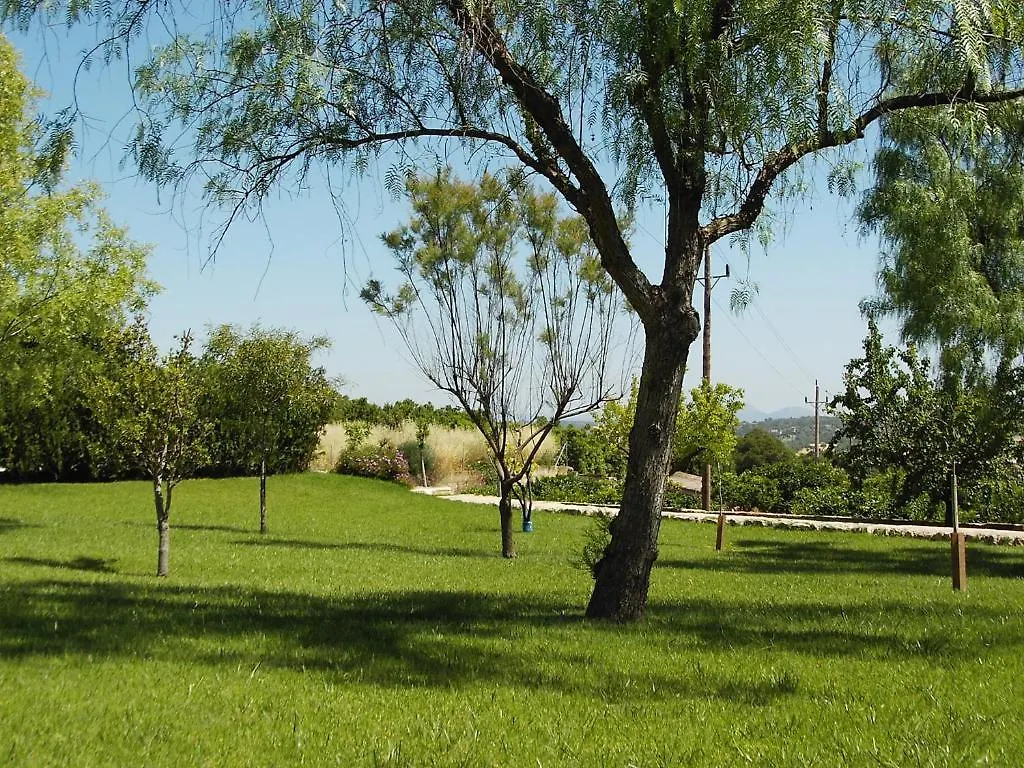 Agroturismo Roqueta Apartment Maria De La Salut 스페인